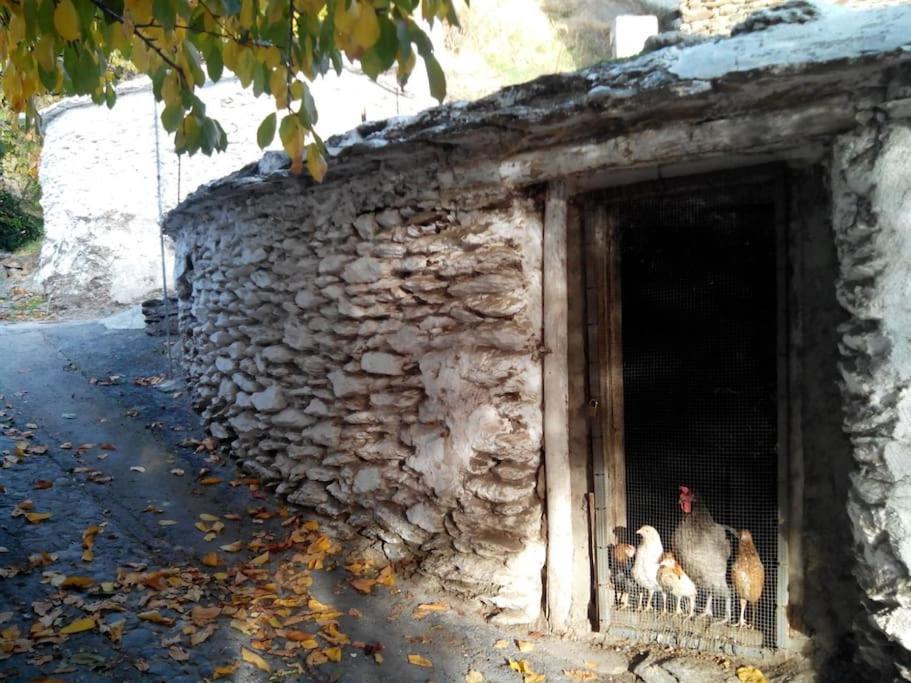 Casa Margarita Villa Bubión Kültér fotó